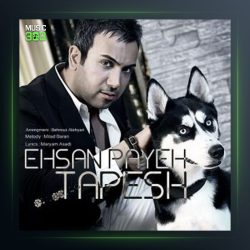 آهنگ طپش از احسان پایه