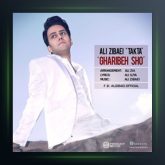 آهنگ غریبه شو از علی تکتا