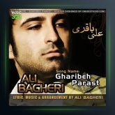 آهنگ غریبه پرست از علی باقری