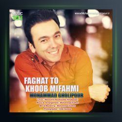 آهنگ فقط تو خوب میفهمی از محمد قلی پور