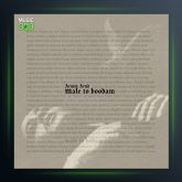 آهنگ مال تو بودم از آرمین آراد