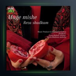 آهنگ مگه میشه از رضا شادکام