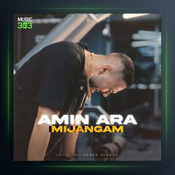 دانلود آهنگ میجنگم از امین آرا