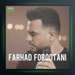 آهنگ میخواستم از فرهاد فروتنی