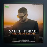 آهنگ میگم عشقمی از سعید ترابی