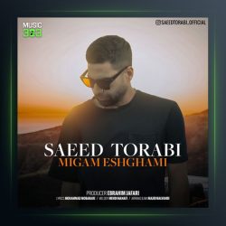 آهنگ میگم عشقمی از سعید ترابی