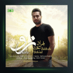آهنگ نرو از بهراد بخشی