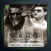 آهنگ نرو از رضا اسطوره و سعید انصاری