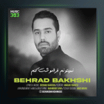 آهنگ نمیتونم فراموشت کنم از بهراد بخشی