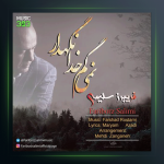 آهنگ نمیگم خدانگهدار از فريبرز سليمى