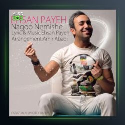 آهنگ نگو نمیشه از احسان پایه