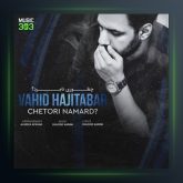 آهنگ چطوری نامرد از وحید حاجی تبار