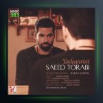 آهنگ یادگاریت از سعید ترابی