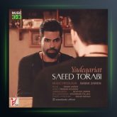 آهنگ یادگاریت از سعید ترابی