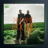 آلبوم آخرین رقص از رسام