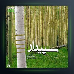 آلبوم سپیدار از حمید متبسم