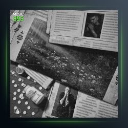 آهنگ X از رسام