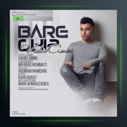 آهنگ بر چی از وحید امینی