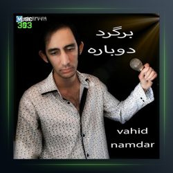 آهنگ برگرد دوباره از وحید نامدار