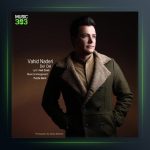 آهنگ دل دل از وحید نادری