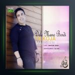 آهنگ دل منو بردی تا کجا از مجید یکتا