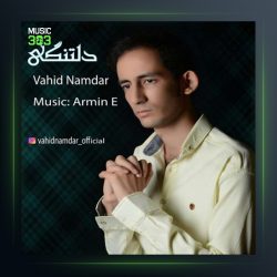 آهنگ دلتنگی از وحید نامدار