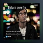 آهنگ دلم گرفته از وحید نامدار