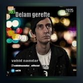 آهنگ دلم گرفته از وحید نامدار