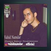 آهنگ دنیا اینجور نمیمونه از وحید نامدار