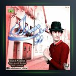 آهنگ دوستت دارم از وحید نامدار