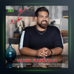آهنگ شگرد از وحید رمضانی