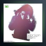 آهنگ صبر کن از وحید امینی