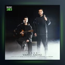 آهنگ کاش از وحید امینی