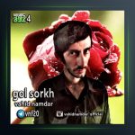 آهنگ گل سرخ از وحید نامدار