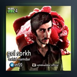 آهنگ گل سرخ از وحید نامدار