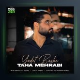 آهنگ یادت باشه از طاها محرابی