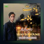 آهنگ یادت باهامه از وحید نامدار