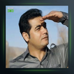 آهنگ دلم میخواد از رضا مرادیان