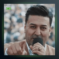 آهنگ دیوانه خوم از آرام بالکی