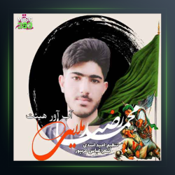 آهنگ دلتنگم از محمدرضا ملایی