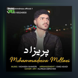 آهنگ جوانی از محمدرضا ملایی