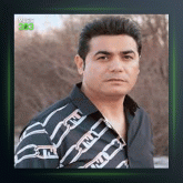 آهنگ شو گرد از رضا مرادیان