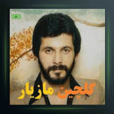 آهنگ همسر از مازیار