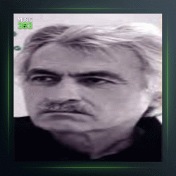 آهنگ گلهای کاغذی از مسعود فردمنش