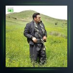 آهنگ کچکا زری از مهدی عرب زاده