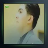 آهنگ زهرا از علیرضا زارع