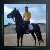 آهنگ بو بو بو از هومن پناهی