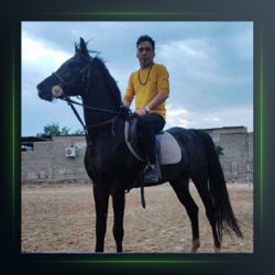 آهنگ بو بو بو از هومن پناهی