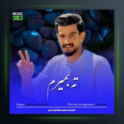 آهنگ ته بمیرم از محمدرضا گلردی