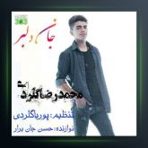 آهنگ جان دلبر از محمدرضا گلردی